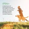 (PEA)+ 120 Capsules - Image 4