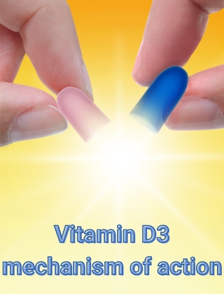 Vitamin D3 mechanism of acttion