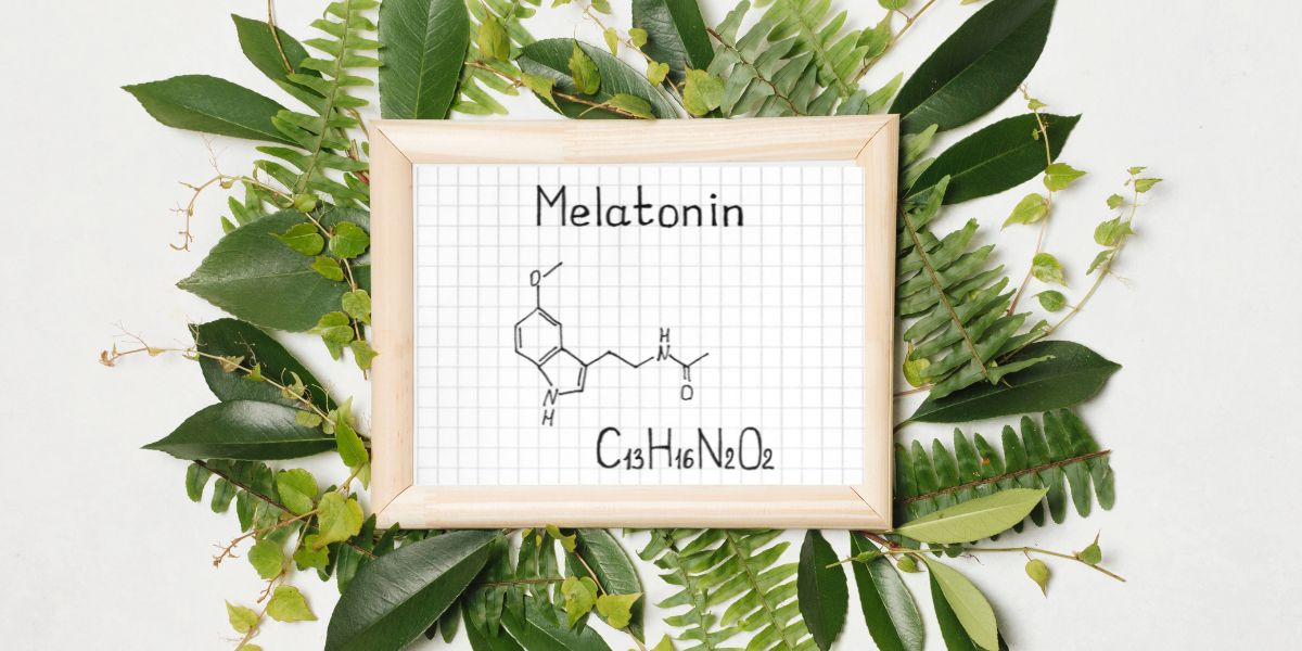 Exploring melatonin’s role beyond sleep regulation