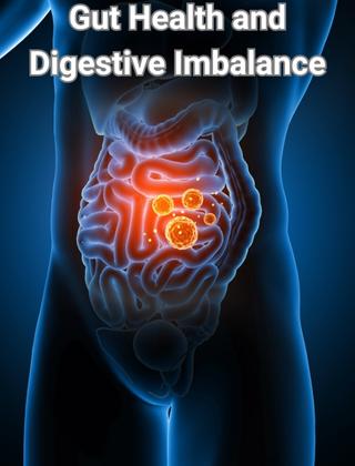 Gut Health and Digestive Imbalance