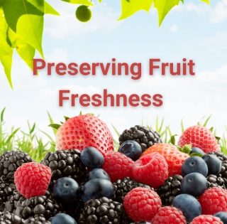 Preserving Fruit Freshness with Melatonin