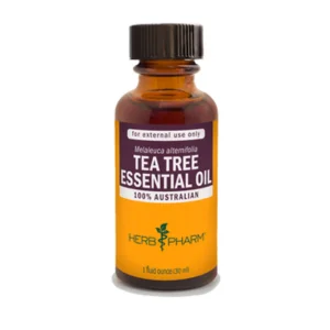 TEA TREE ESSENTIAL OIL Product-Welltopia Pharmacy