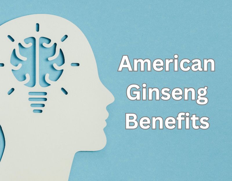 American Ginseng Benefits Cover