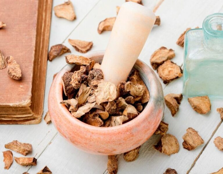 Siberian Ginseng Uses Cover