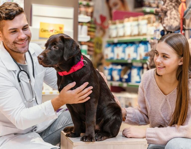 Custom Pet Medications Cover