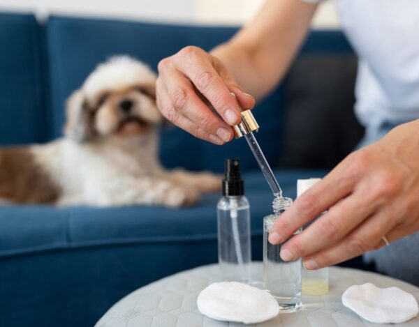 Pet Allergy Treatments