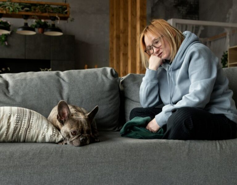 Pet Anxiety Treatments Cover