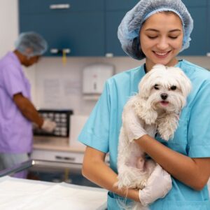 Pet Cancer Treatments Cover