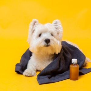 Pet Probiotics Supplements Cover