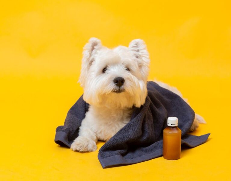 Pet Probiotics Supplements Cover